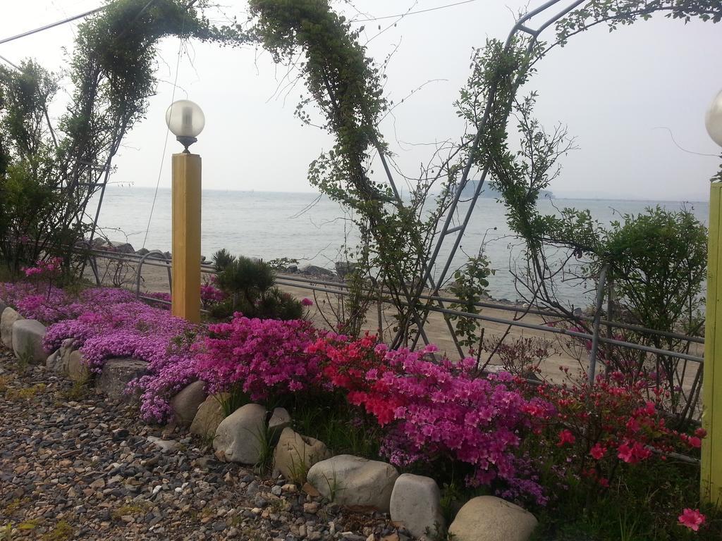 Yongdu Beach Pension بوريونغ المظهر الخارجي الصورة